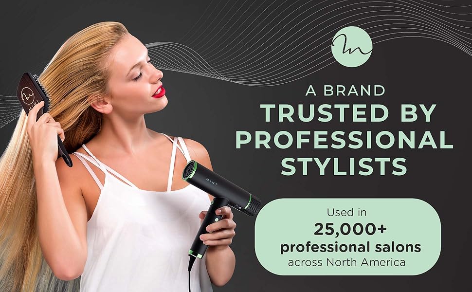 MINT Hummingbird Smart Professional Hair Dryer with Diffuser