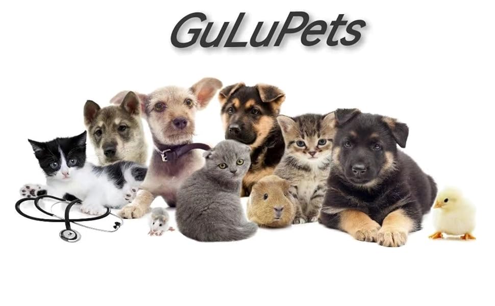 We do our best to keep your pet happy