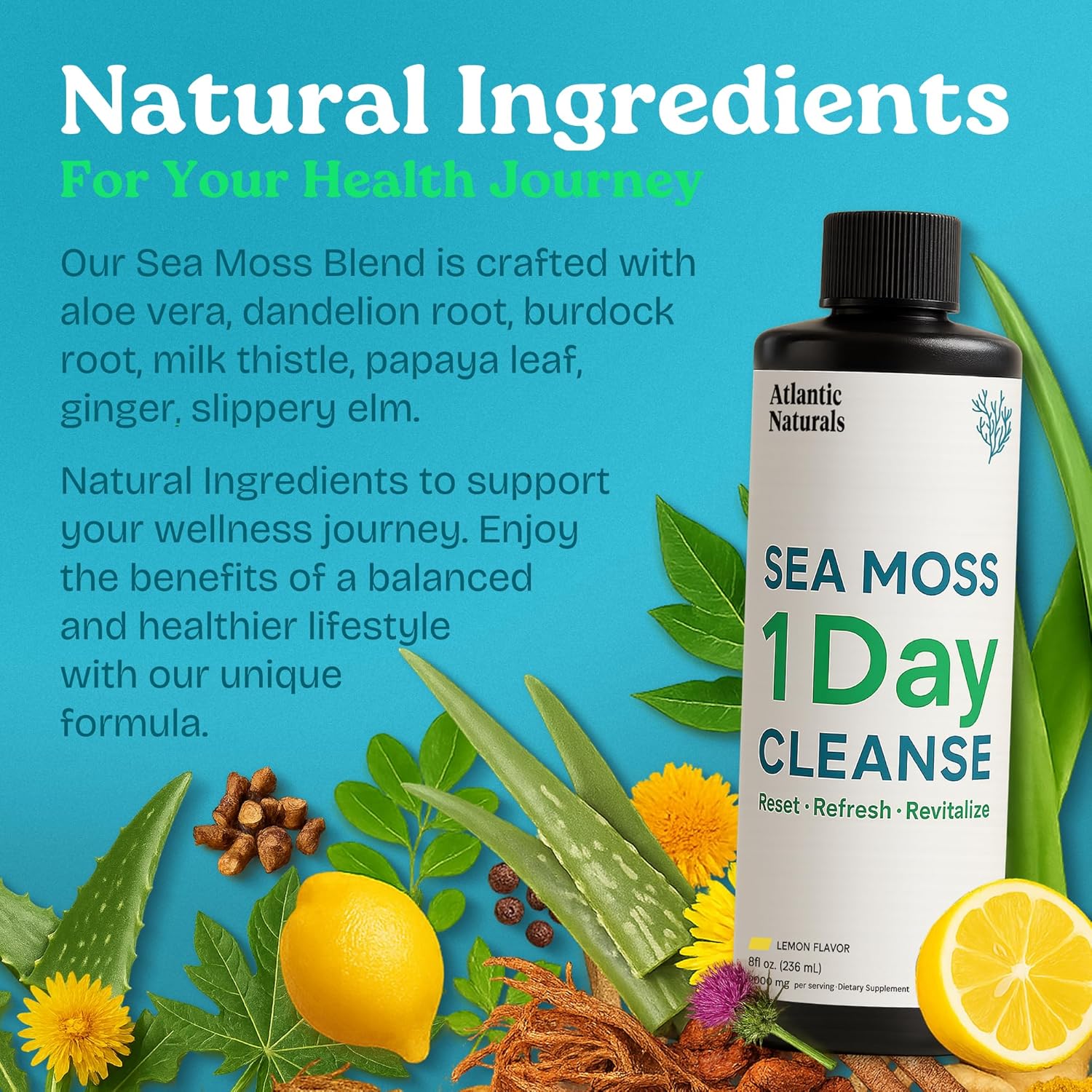 Atlantic Naturals - 1 Day Colon Cleanse Full Body Detox Drink - Sea Moss Supplement for Women & Men, Gut Health, Kidney & Liver Immune Energy Enhancer Gut Cleanse - Lemon Flavor Juice, 8 fl oz - Image 6