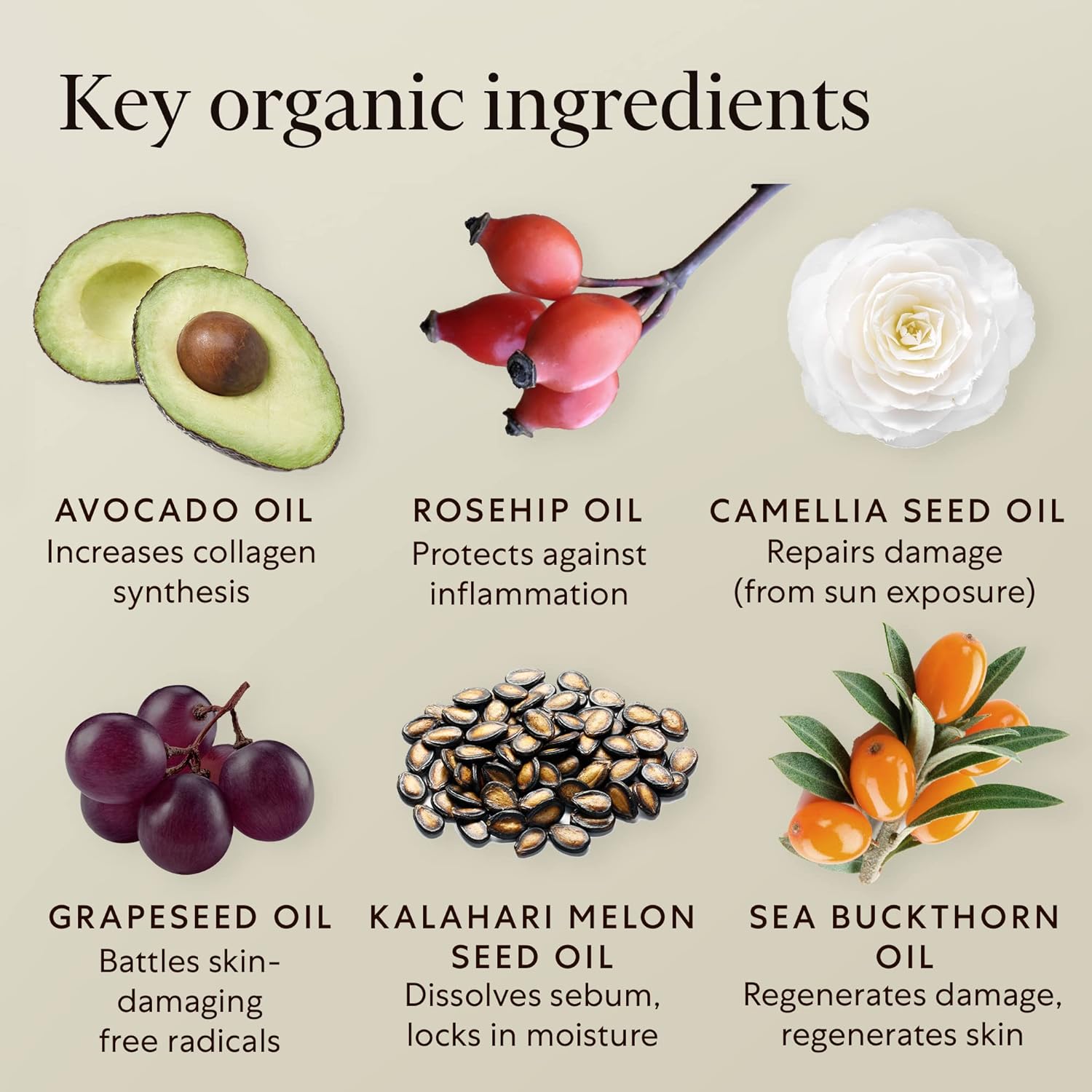AVOILA Organic Face Oil Moisturizer for Dry, Aging, Sensitive, Acne Prone Skin l Restoring, Balancing l Vegan l Rosehip Oil + Sea Buckthorn Oil + Vitamin E + Grapeseed Oil + Avocado Oil l Gua Sha - Image 2