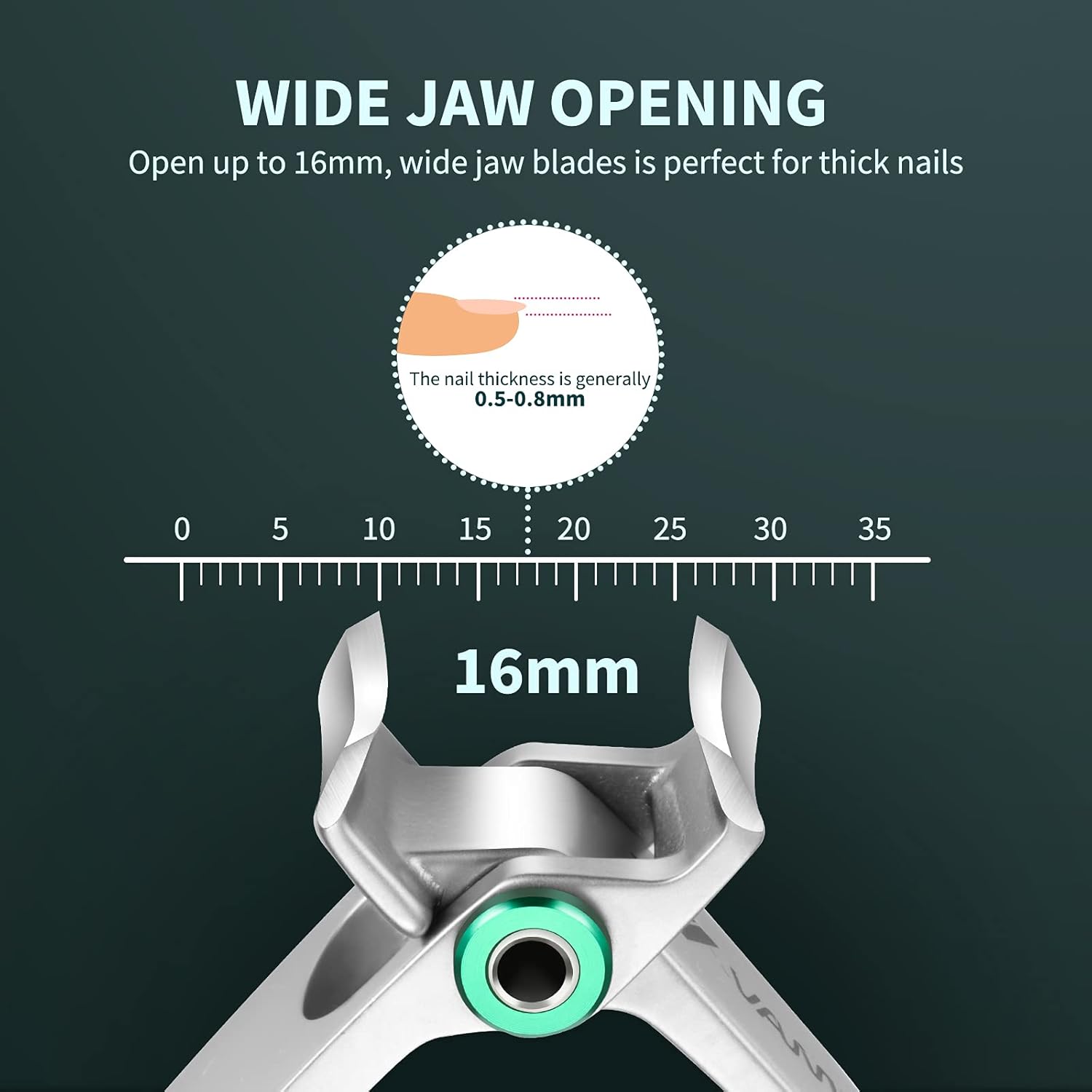 Extra Wide Jaw Stainless Steel Nail Clippers for Thick Nails, Curved Blade, with File - Image 2