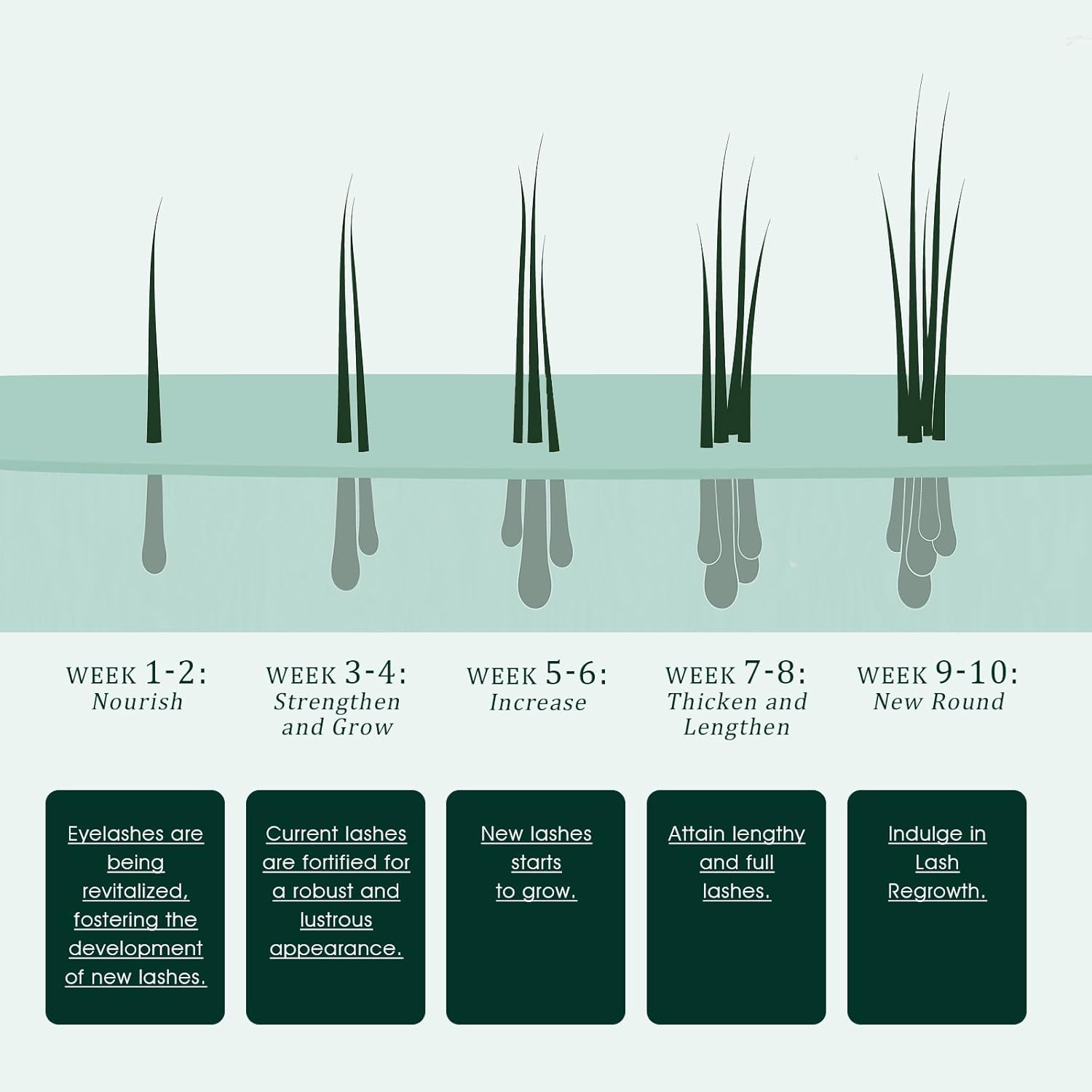 Eyelash Serum:Boost lash length, thickness, and strength with TUDPA's advanced, natural eyelash growth serum. 0.1 Fl. Oz (3 mL)(Green) - Image 4
