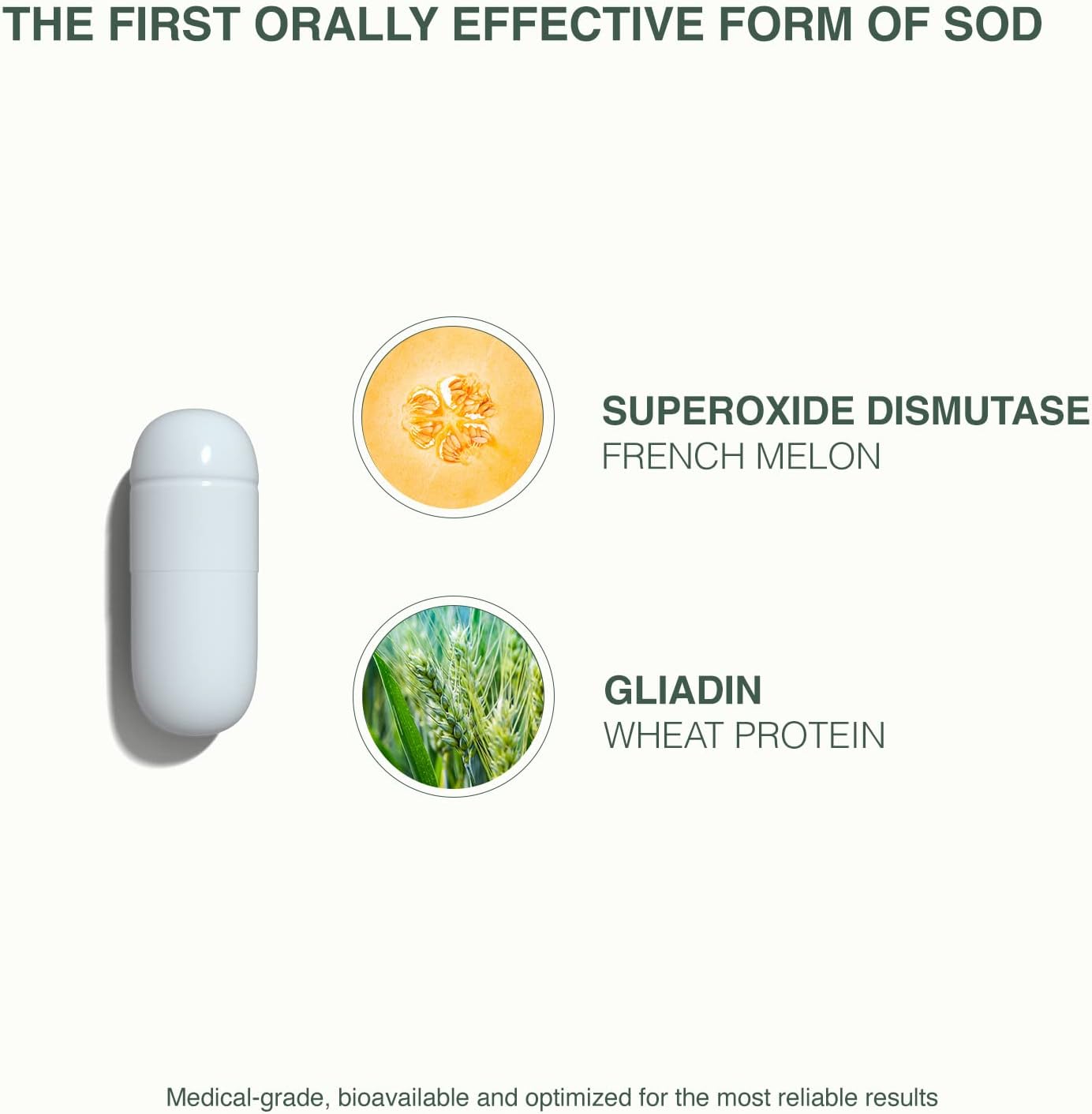 GliSODin Skin Nutrients The Antioxidant Enzyme – Protection Against Free Radical Damage - Reduces Oxidative Stress - 60 capsules – 1 Month Supply - Image 5