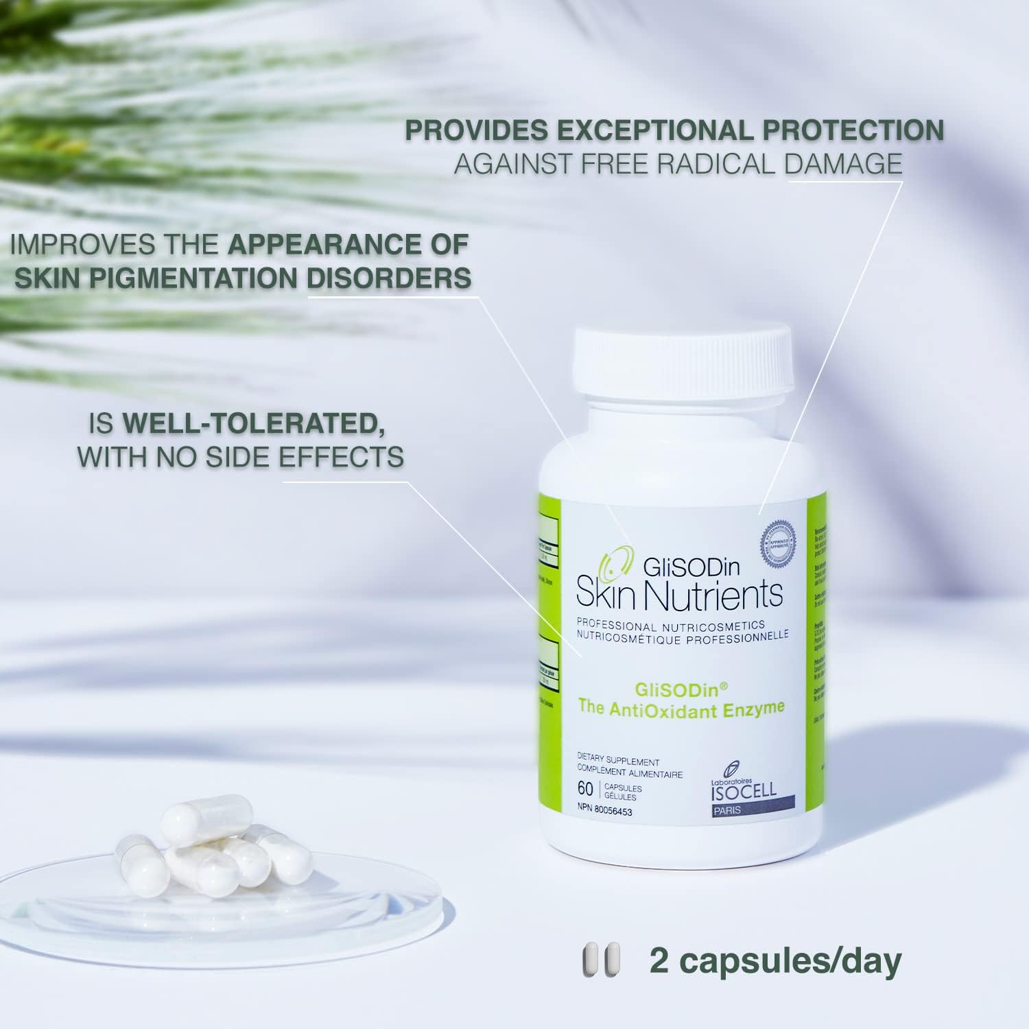 GliSODin Skin Nutrients The Antioxidant Enzyme – Protection Against Free Radical Damage - Reduces Oxidative Stress - 60 capsules – 1 Month Supply - Image 2