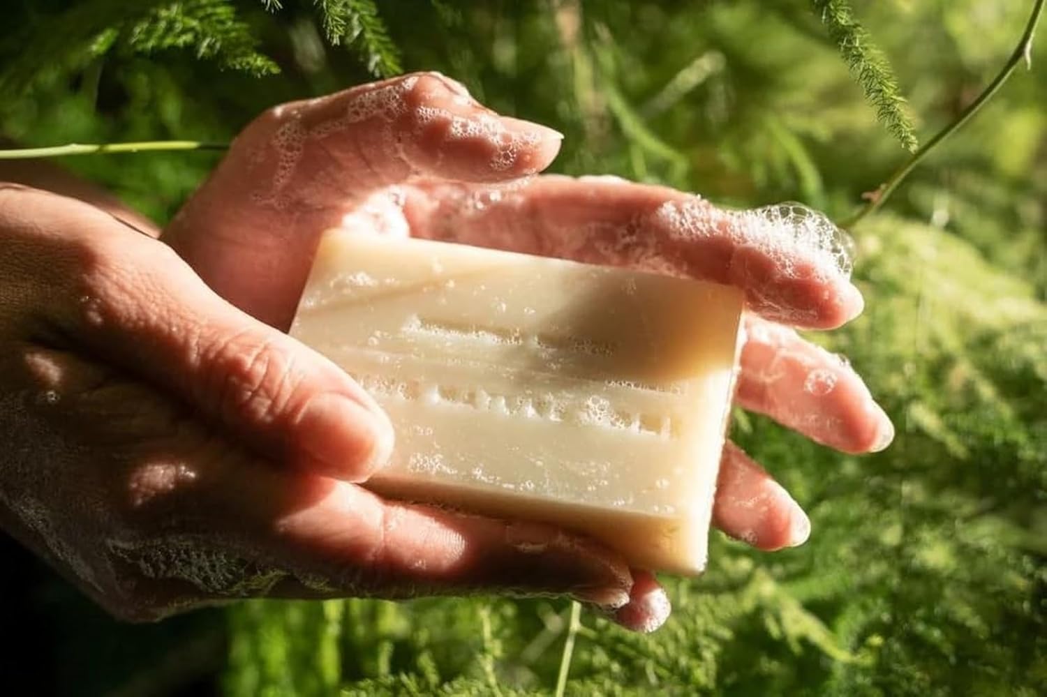 JUNIPER RIDGE Redwood Mist Bar Soap - Cold Processed Mild Castile Soap - Plant Based Ingredients & Steam Distilled Essential Oils - Paraben, Phthalate, Dye, Cruelty, & Preservative Free - 4oz Bar - Image 3