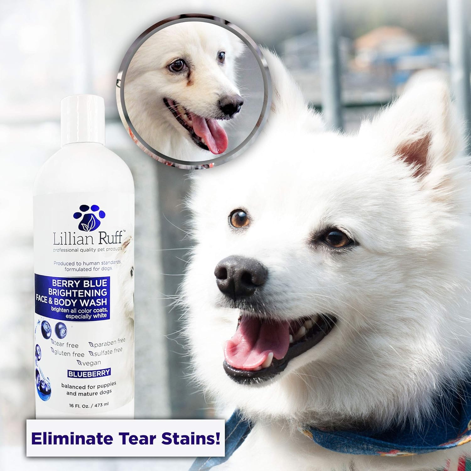 Lillian Ruff Berry Blue Brightening Face and Body Wash for Dogs - Blueberry Shampoo - Remove Tear Stains, Hydrate Dry Itchy Skin, Add Shine & Luster to Coats (Berry Blue Shampoo 16oz) - Image 4