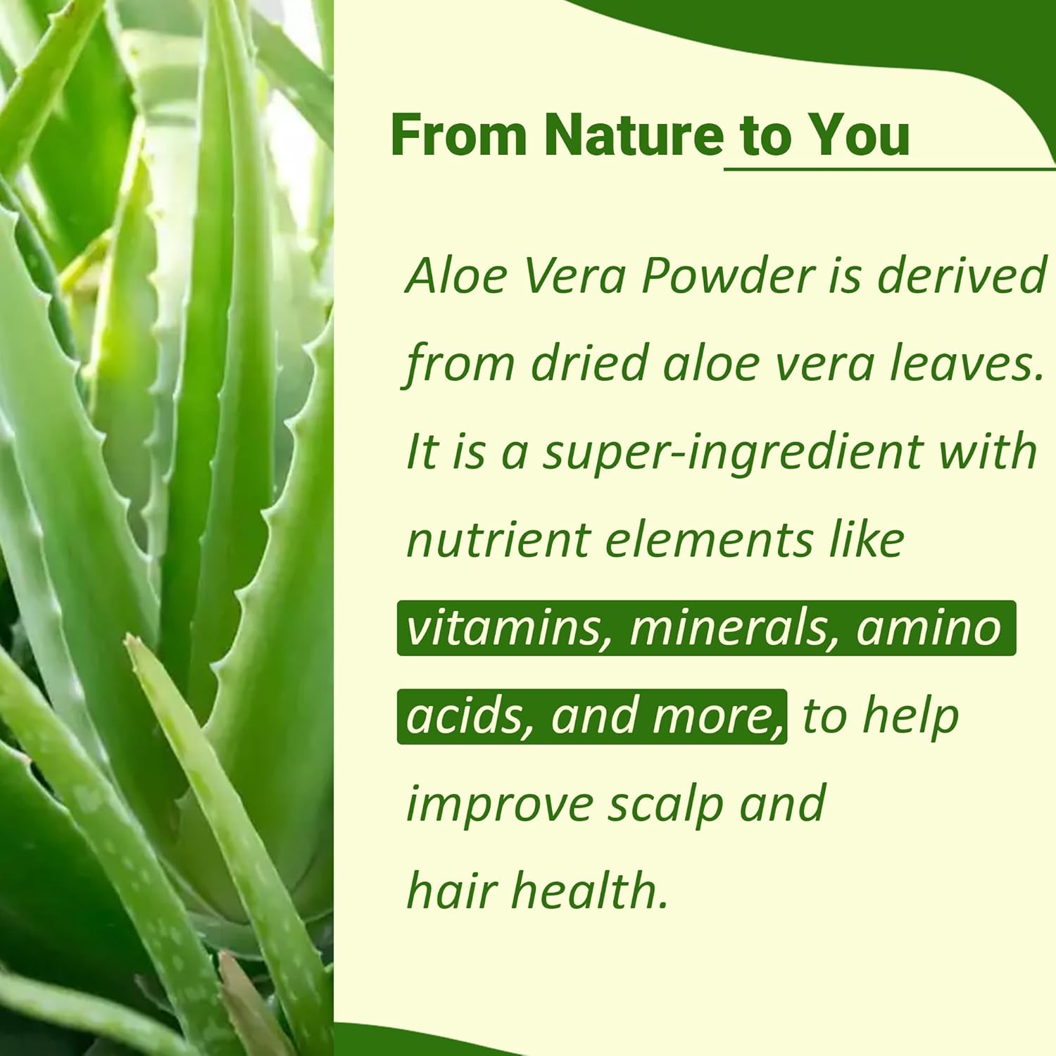Mi Nature 100% Aloevera Powder (Aloe Barbadenis) 100g (3.5 oz)| Pure Aloe Vera Leaf Powder | DIY for Skin, Health & Hair - Image 2