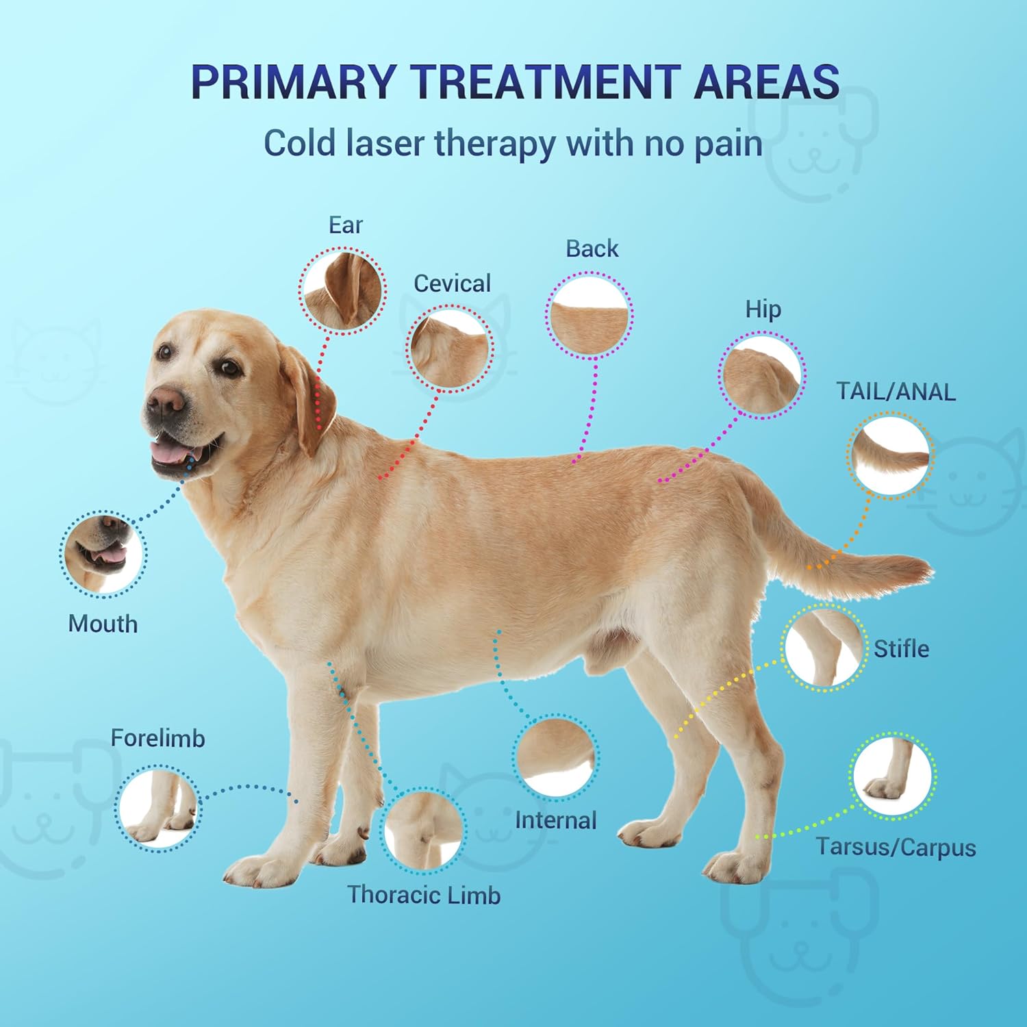 Mibest Cold Laser Therapy Device for Vet - Red Light Therapy for Dogs and Cats - Infrared Light Therapy Targets Joint and Muscles - Pain Relief, Arthritis, Spinal, Wound Healing (4x808nm + 12x650nm) - Image 5