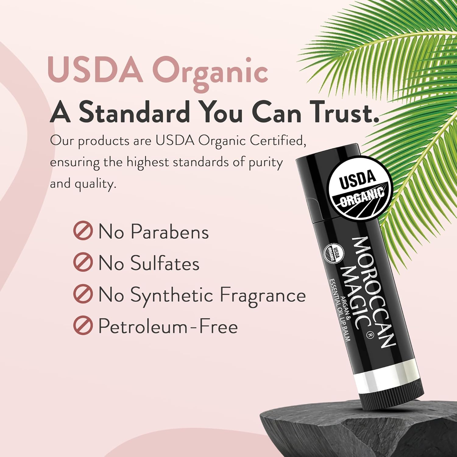 Moroccan Magic Organic Pure Coconut Lip Balm 3 Pack | Ultra-Hydrating Argan & Essential Oil Lip Moisturizer + Vitamin E | Natural Chapsticks for Dry Lips | Smooth, Non-Toxic | Organic Lip Balm Set - Image 4