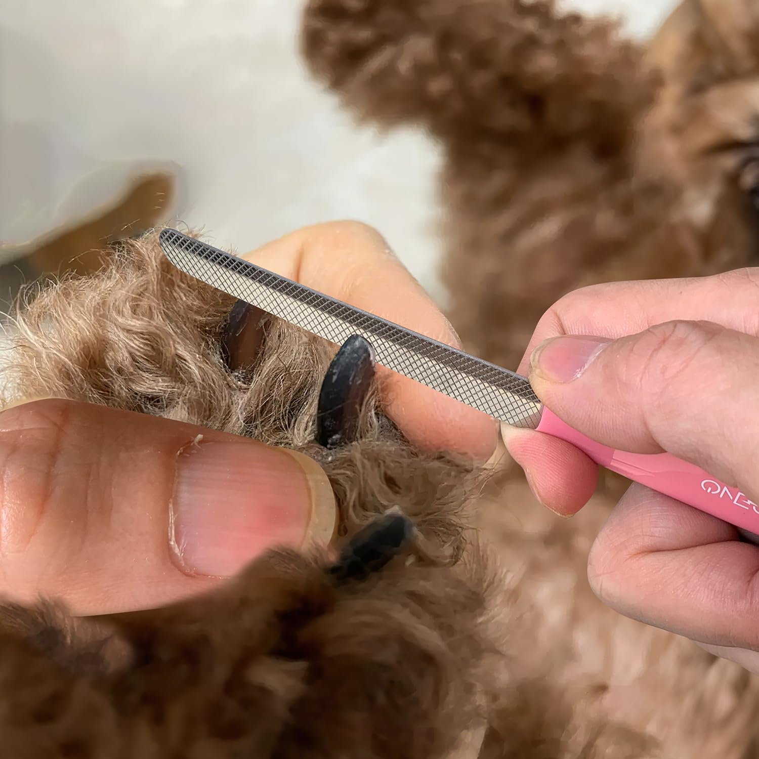 OneCut 4.7" Small Dog & Cat Nail Clipper Stainless Steel Cat Claw Trimmers for Rabbits, Guinea Pigs, Birds, Puppies, Kittens and Small Animals Pet Nail Clipper for Professional and Home Use (Purple) - Image 8