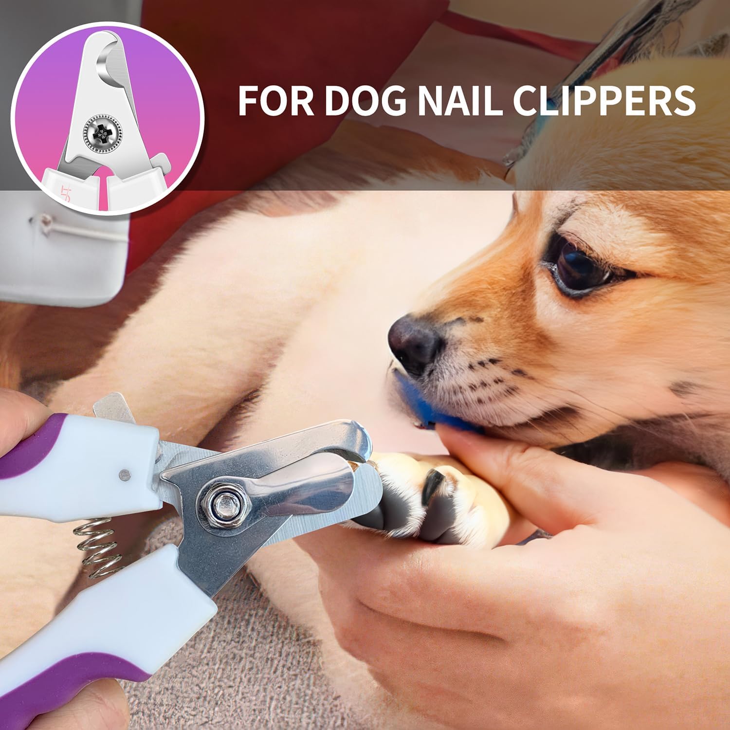 OneCut 4.7" Small Dog & Cat Nail Clipper Stainless Steel Cat Claw Trimmers for Rabbits, Guinea Pigs, Birds, Puppies, Kittens and Small Animals Pet Nail Clipper for Professional and Home Use (Purple) - Image 5