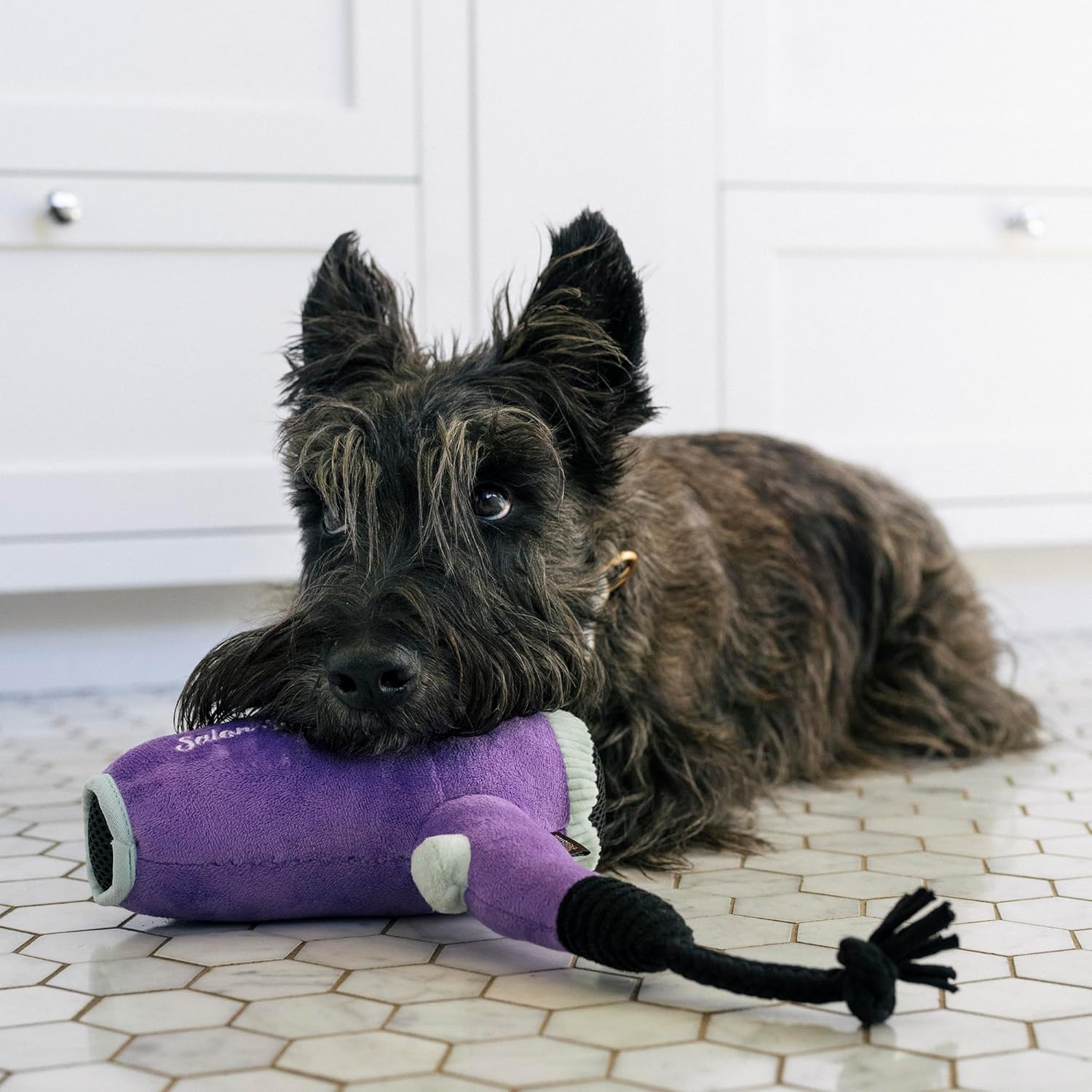P.L.A.Y. Cute Plush Dog Toy Splish Splash Bathtime Howlin' Hair Dryer Durable Squeaker Chew Toy Machine Washable - Image 3