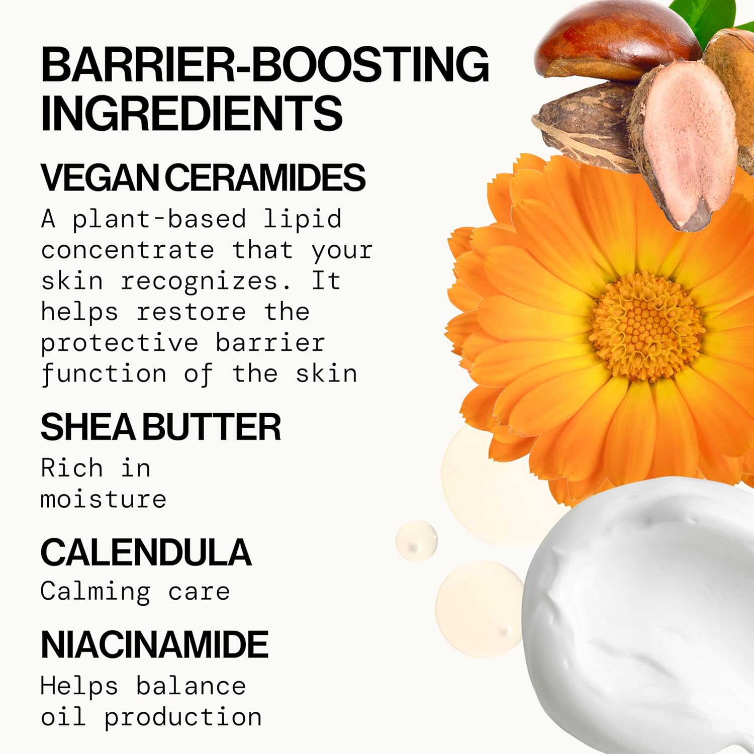 Pacifica Vegan Ceramide Barrier Face Cream with Niacinamide Shea Butter Fragrance Free 1.7 oz - Image 5