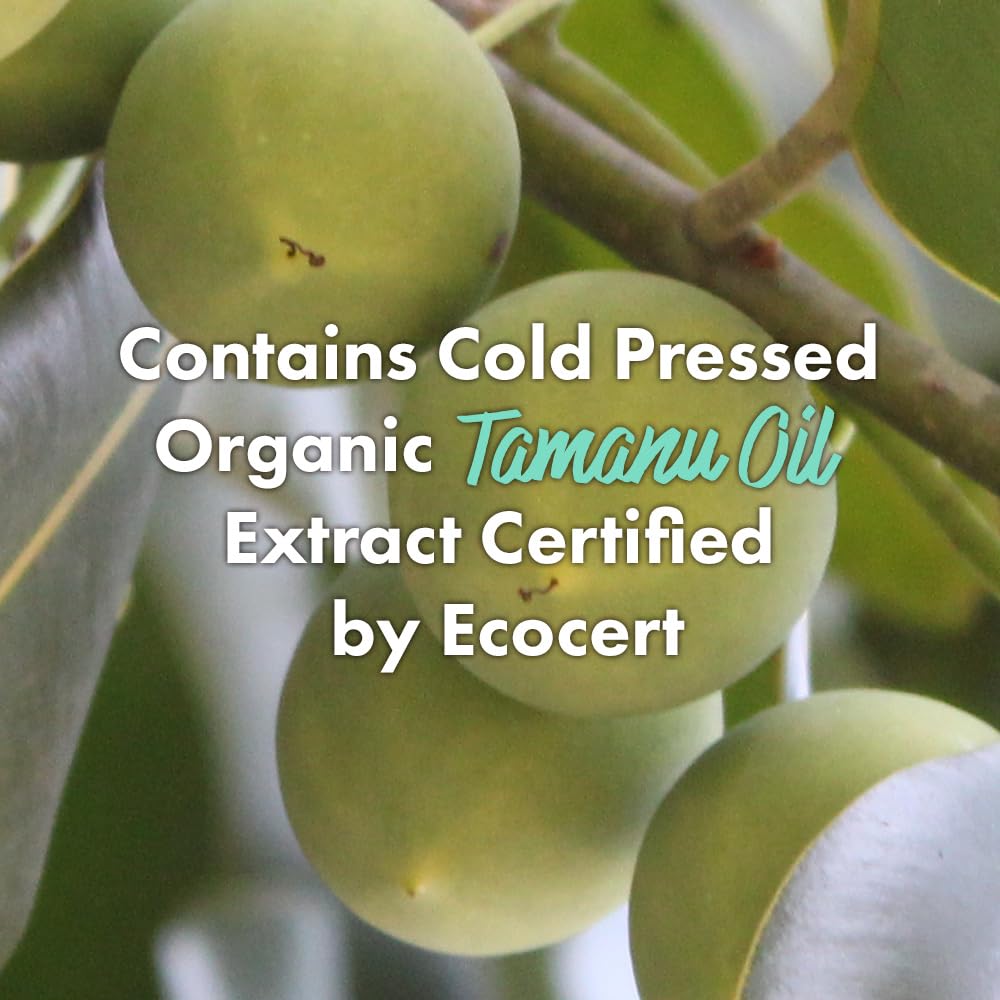 RATED GREEN Cold Press Tamanu Oil Soothing Scalp Pack w/Black Currant | Korean Hair Care Hair Conditioning Mask | Deep Conditioning Hair Mask for Dry Damaged Hair (Pack of 1, 6.76 Fl. Oz) - Image 2