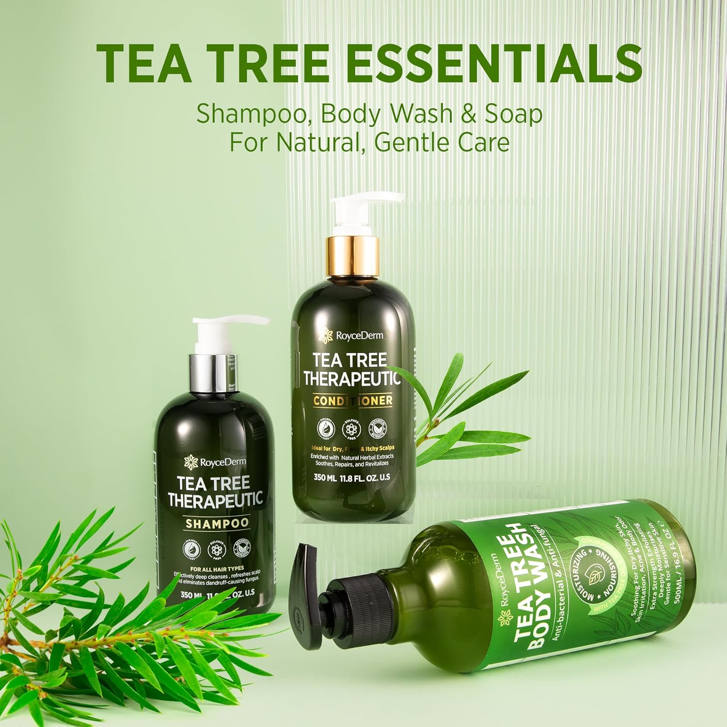 Roycederm Tea Tree Antifungal Shampoo: Folliculitis Shampoo for Dry Scalp, Dandruff, and Itchy Scalp - Medicated Clarifying shampoo with Tea Tree Oil, Paraben & Sulfate Free - Image 6