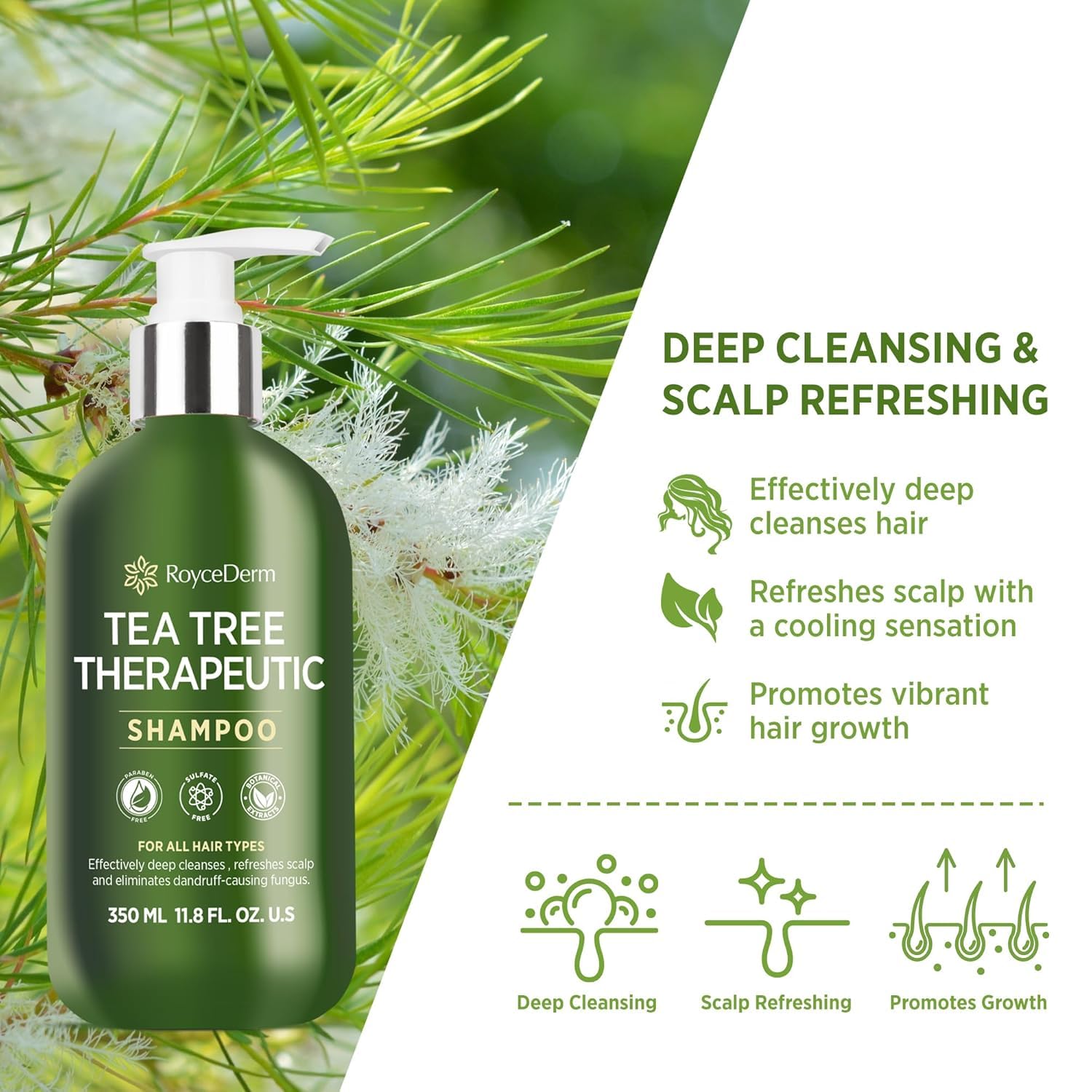 Roycederm Tea Tree Antifungal Shampoo: Folliculitis Shampoo for Dry Scalp, Dandruff, and Itchy Scalp - Medicated Clarifying shampoo with Tea Tree Oil, Paraben & Sulfate Free - Image 2