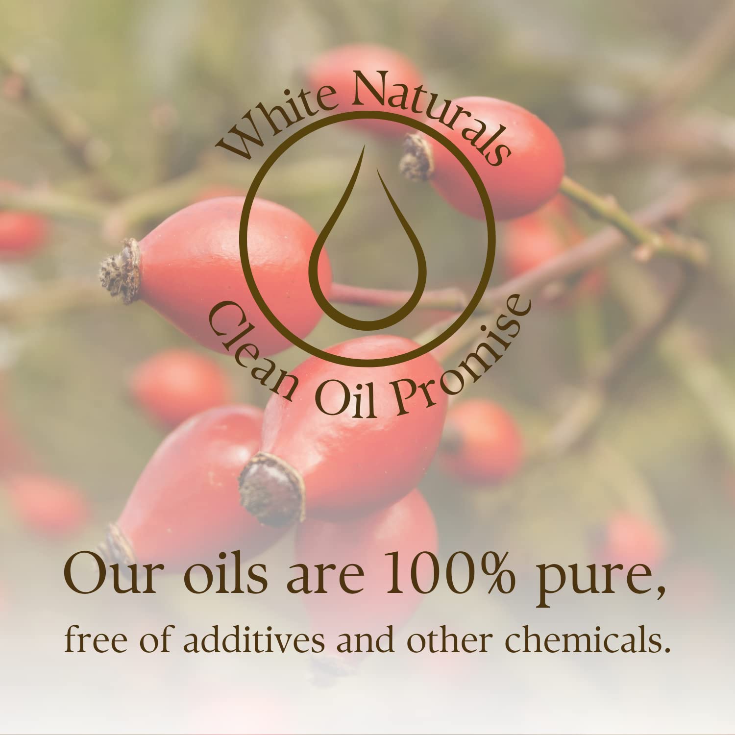 White Naturals Organic Rosehip Seed Oil Cold Pressed, Unrefined 100% Pure Rose Hip Carrier Oil, Natural Moisturizer For Body Face Hair Skin Massage & Nails, Facial Serum Anti-Aging Treatment 4 oz - Image 6