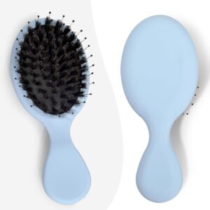 Mini Boar Bristle Hair Brush - Boar & Nylon Bristle Small Brush for Women Kids Long Short Hair to Smooth Add Shine - Travel Size Hair Brush for Purse,Pocket - Blue