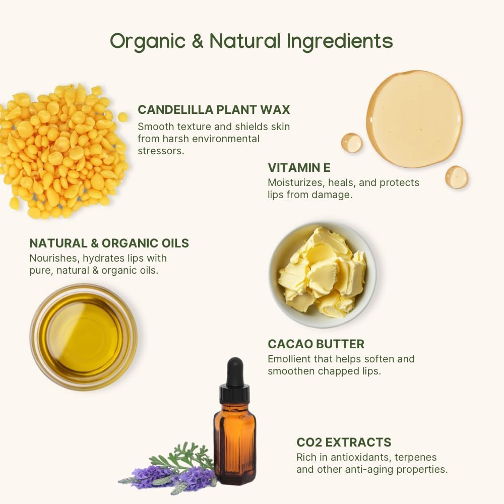 ILIKA Organic Lip Balm 2 Pack, Vegan, Plastic-Free, Ginger Lemon & Almond Cardamom Rose - Image 7