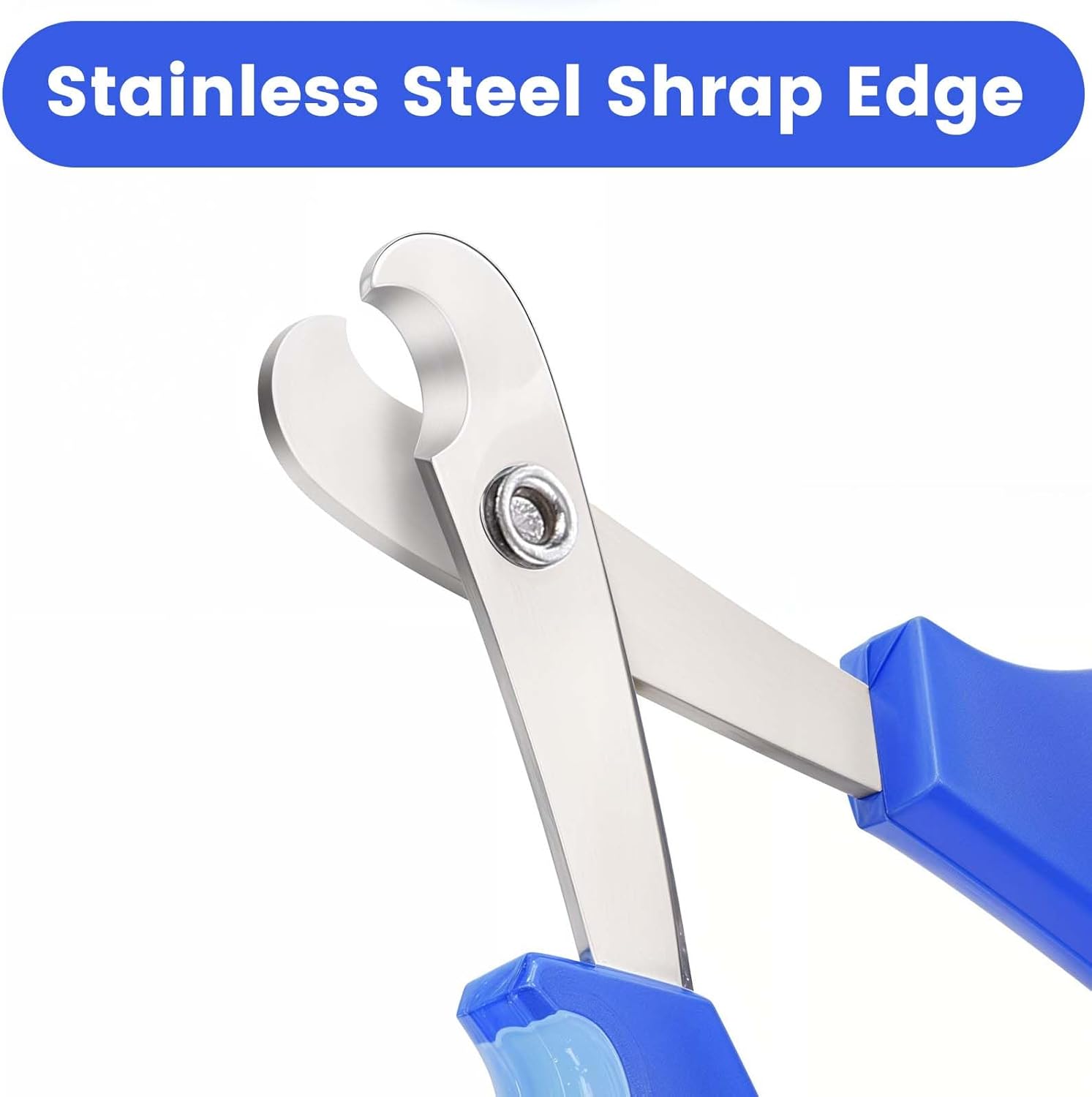 Stainless Steel Small Pet Nail Clippers Angled Edges for Cats and Bearded Dragons - Image 4