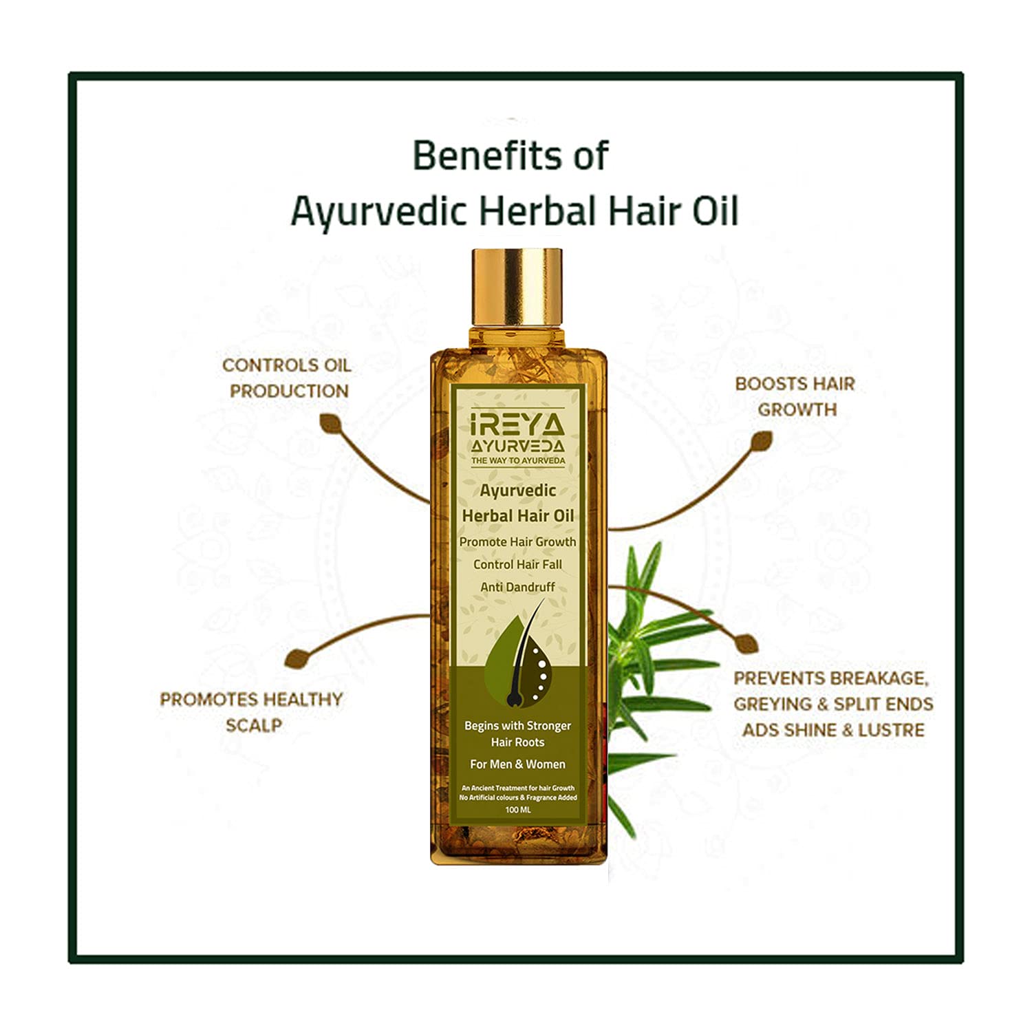 100ml Ayurvedic Herbal Hair Oil with Raw Herbs for Growth and Dandruff Control - Image 5