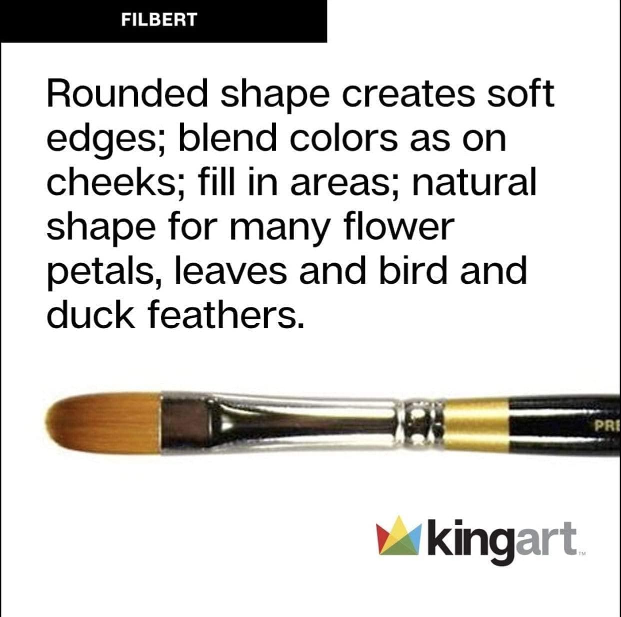 KINGART B-011 Premium 5 Piece Filbert Artist Brush Set Synthetic Taklon Short Handle 5 Sizes - Image 5