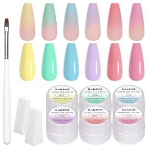 RARJSM 6Pcs Ombre Gel Polish Set with 2Pcs Sponges and Nail Brush Soak Off UV Macaron Gel Nail Polish Colors Sponging Gel Gradient Painting Gel for DIY Spring Summer Nail Art Salon at Home