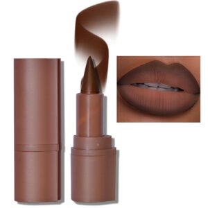 Erinde 2-in-1 Lip Liner and Lipstick Lip Combo Set, Matte Nude Dark Brown Red Lip Liner Creamy Lip Pencil Crayon, High Pigmented Long lasting Lipstick Makeup, 06# Coffee Bean