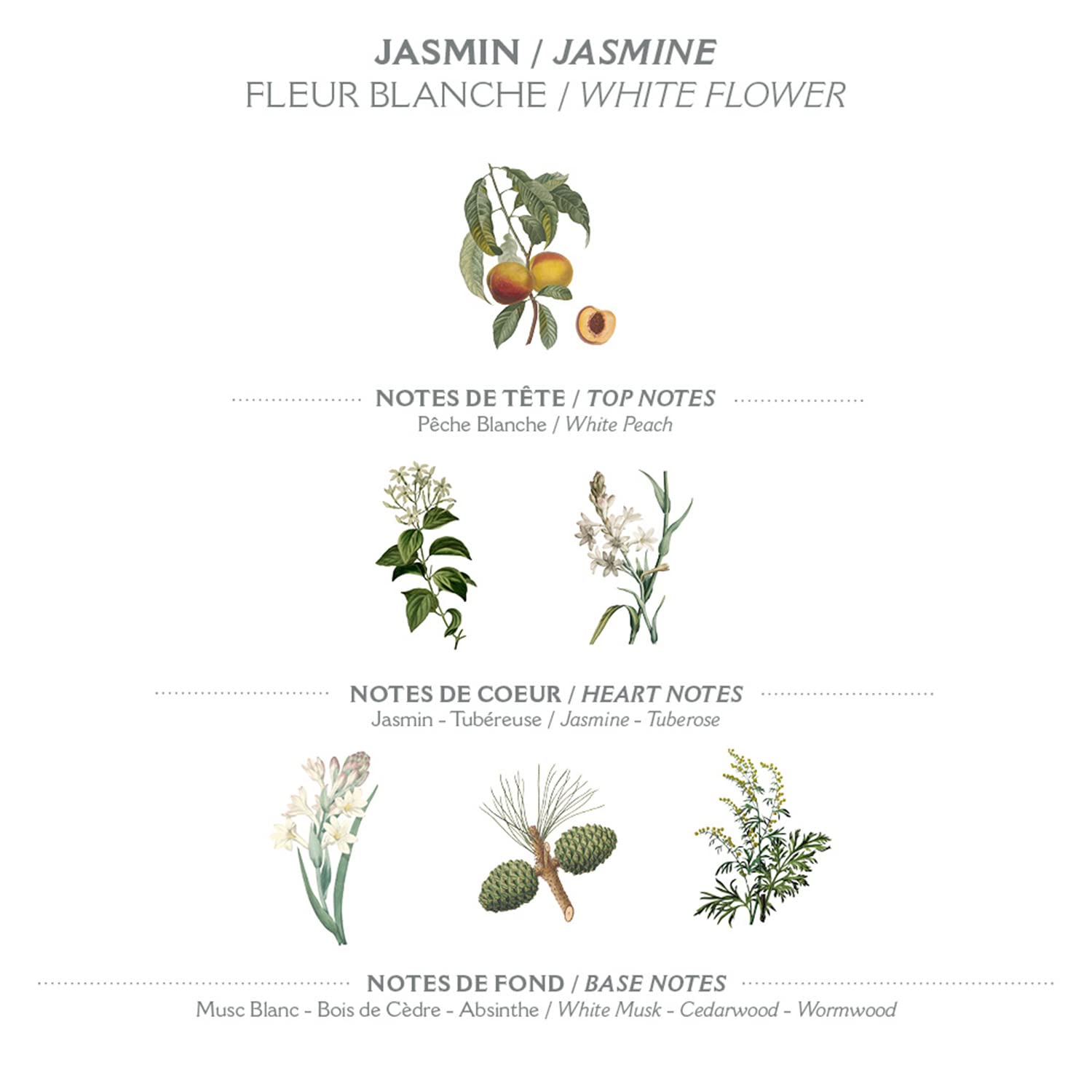 Panier des Sens Jasmine 1 fl oz Travel Size Hand Cream for Dry Cracked Hands - Image 3