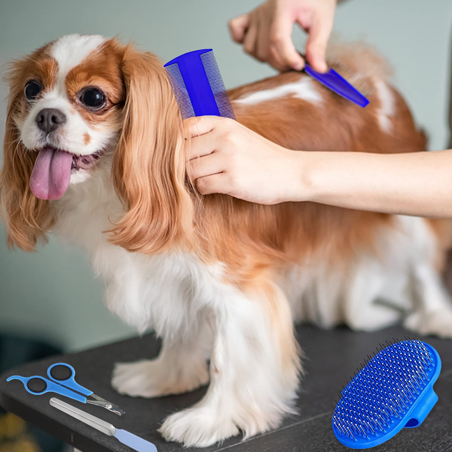 Blue 7-Piece Adjustable Strap Small Pet Grooming Kit for Rabbits, Hamsters, Guinea Pigs - Image 7