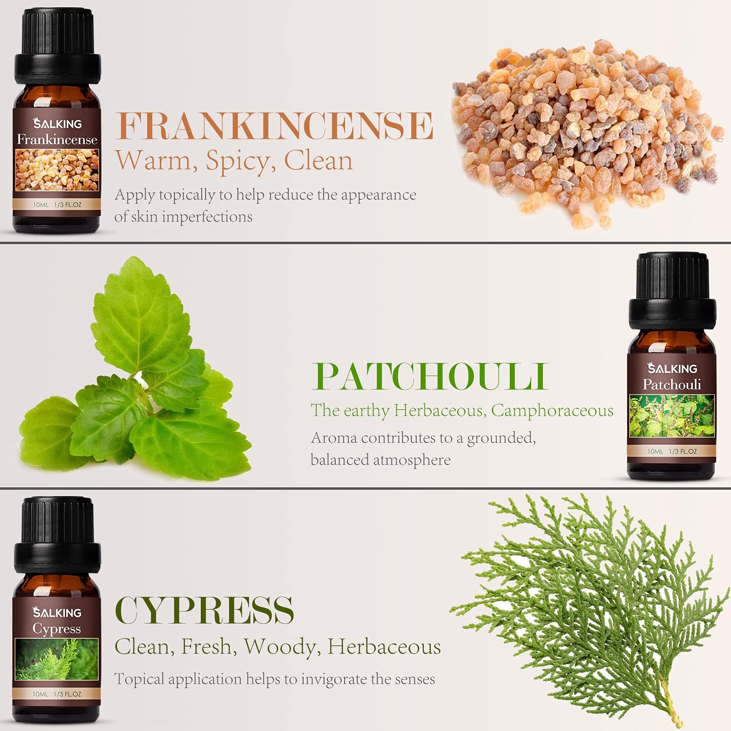Woody Essential Oils Set for Candle Making and Men's Fragrances, 6 Unique Scents Included - Image 3