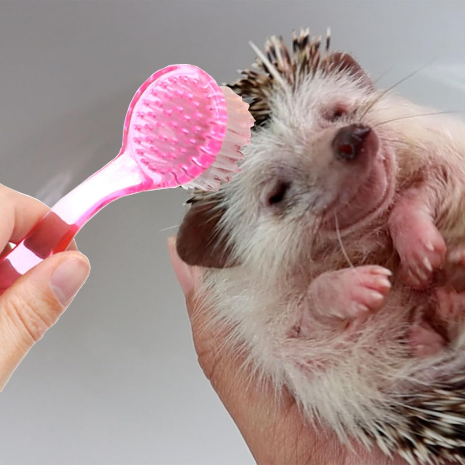 Hedgehog Bath Time Fun Set with Foldable Tub, Brush, Clippers, and Cozy Slippers - Image 3