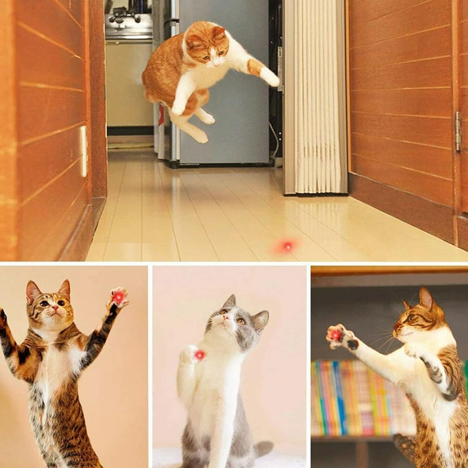 MEUSNO Rechargeable Red Laser Pointer Cat Toy for Cats and Dogs Long Range Strong Light - Image 6