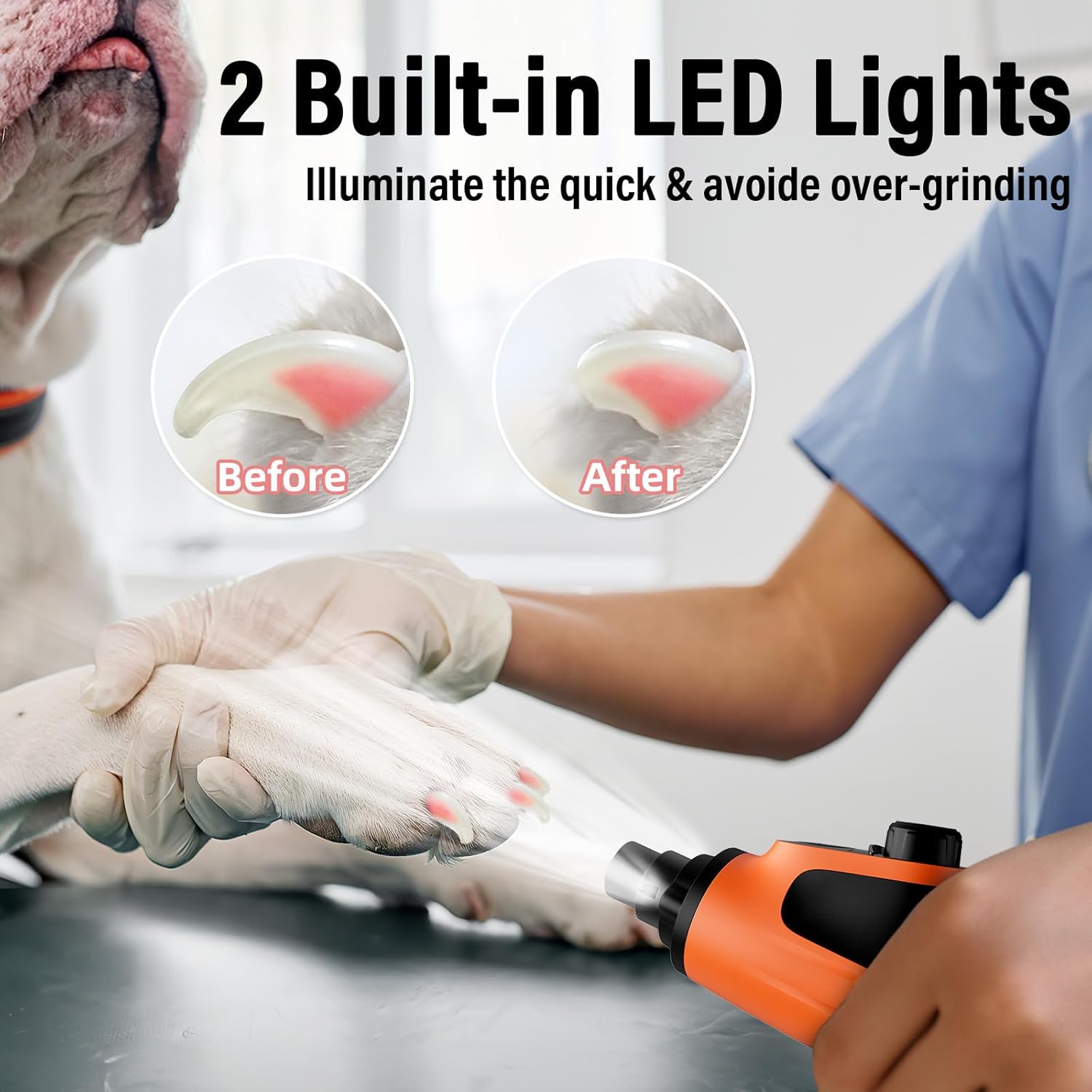 Casfuy Smart 6-Speed Dog Nail Grinder with Enhanced 50% More Power and LED Lights for All Pets - Image 5