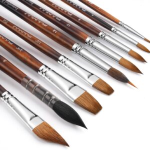 Watercolor Paint Brushes, 9pcs Fuumuui Professional Sable Brushes & Natural Squirrel Mop Brush Set with Extended Needle, Round Point, Flat, Dagger, Quill Wash for Watercolor Gouache Inks
