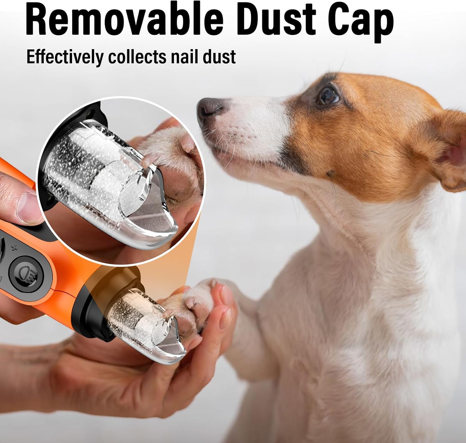 Casfuy Smart 6-Speed Dog Nail Grinder with Enhanced 50% More Power and LED Lights for All Pets - Image 6