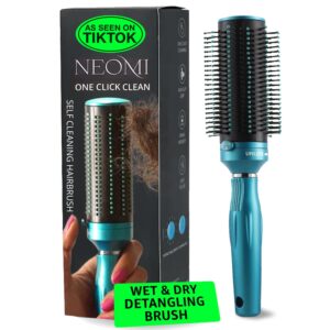 Hair Brushes for Women - Curly Hair Blow Dryer Brush Self Cleaning Detangler Round Brush for Blow Out - Roller Retractable Hairbrush for Wet or Dry Womens and Men Blue Birthday Gifts