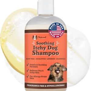 Natural Dog Company Itchy Dog Shampoo – Hypoallergenic Dog Shampoo for Itch Relief & Dry Skin, Plant-Based Formula for Skin Allergy Symptoms & Odor Control, 12 oz