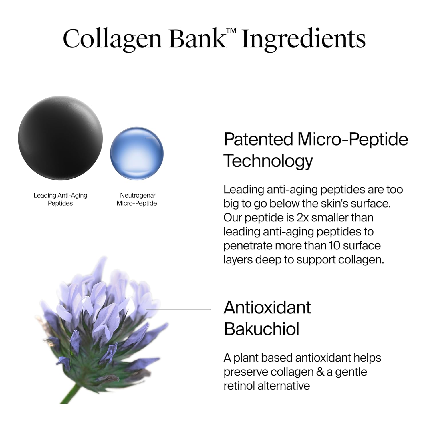 Neutrogena Collagen Bank Daily Anti-Aging Face Moisturizer with Bakuchiol 2 fl oz - Image 5
