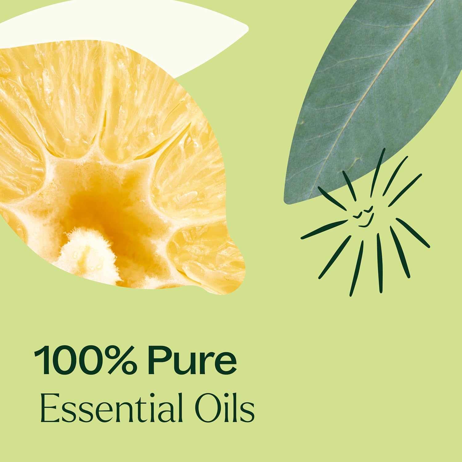 Plant Therapy Immune Aid Essential Oil Blend 10mL 100% Pure Undiluted Therapeutic Grade - Image 5