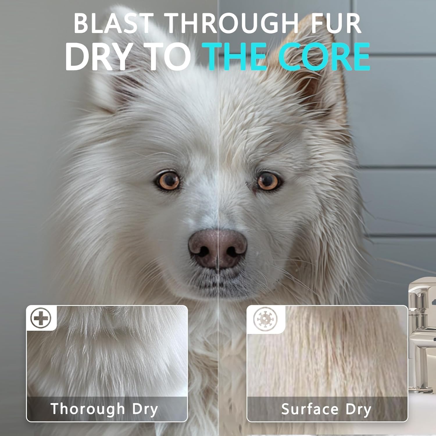 High Velocity Pet Grooming Dryer 5.2HP 3800W, Adjustable Speed & Temp, 4 Nozzles & Comb - Image 3