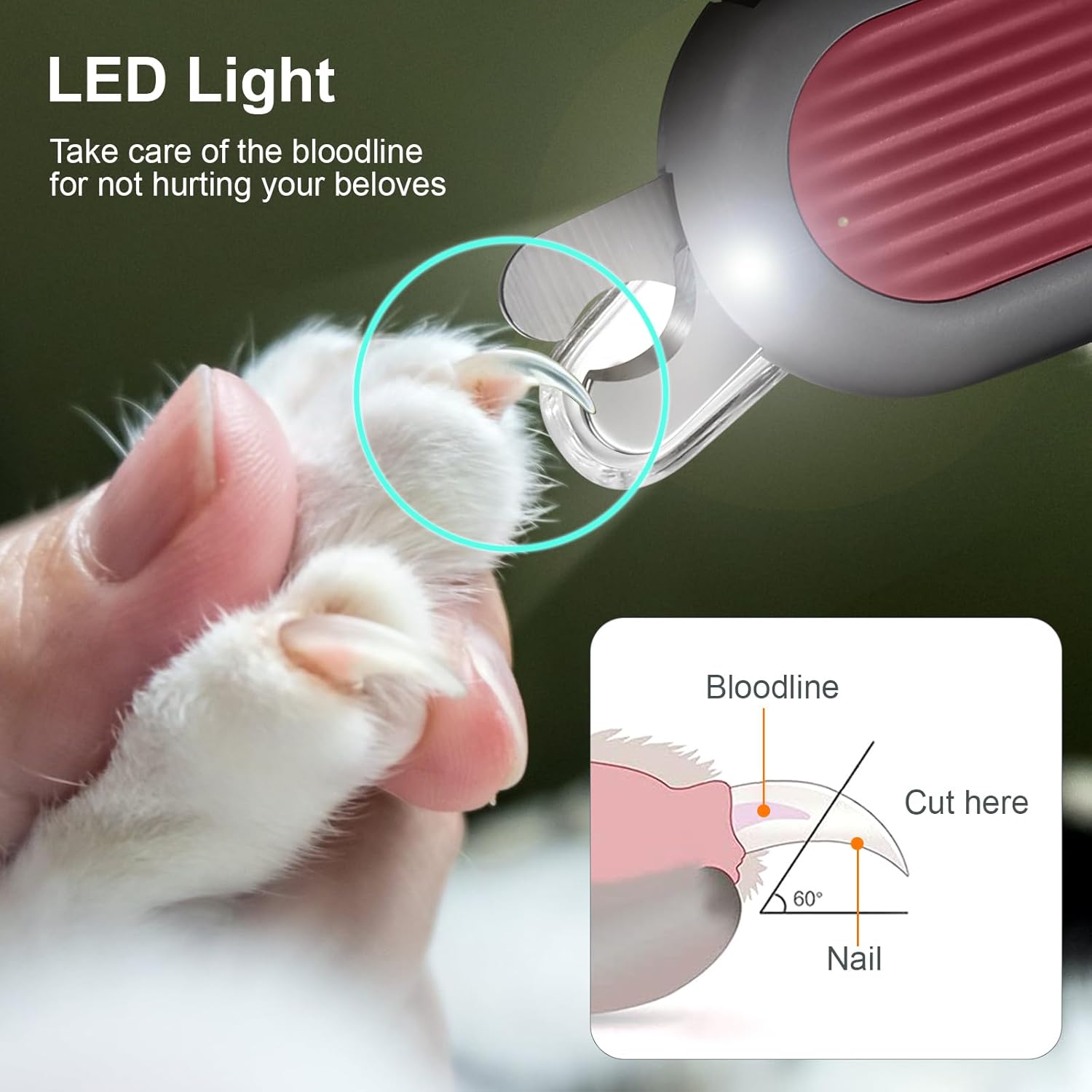 Odoland Cat Nail Clipper with LED Light and Nail File, Dog Claw Trimmer with Bright Light to Avoid Excessive Cutting - Pet Grooming Tool for Tiny Dog Cat Kitten Bunny Rabbit Pink - Image 2