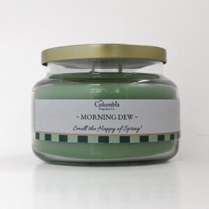 Morning Dew (Rain and Fresh Cut Grass) candle, 10 oz