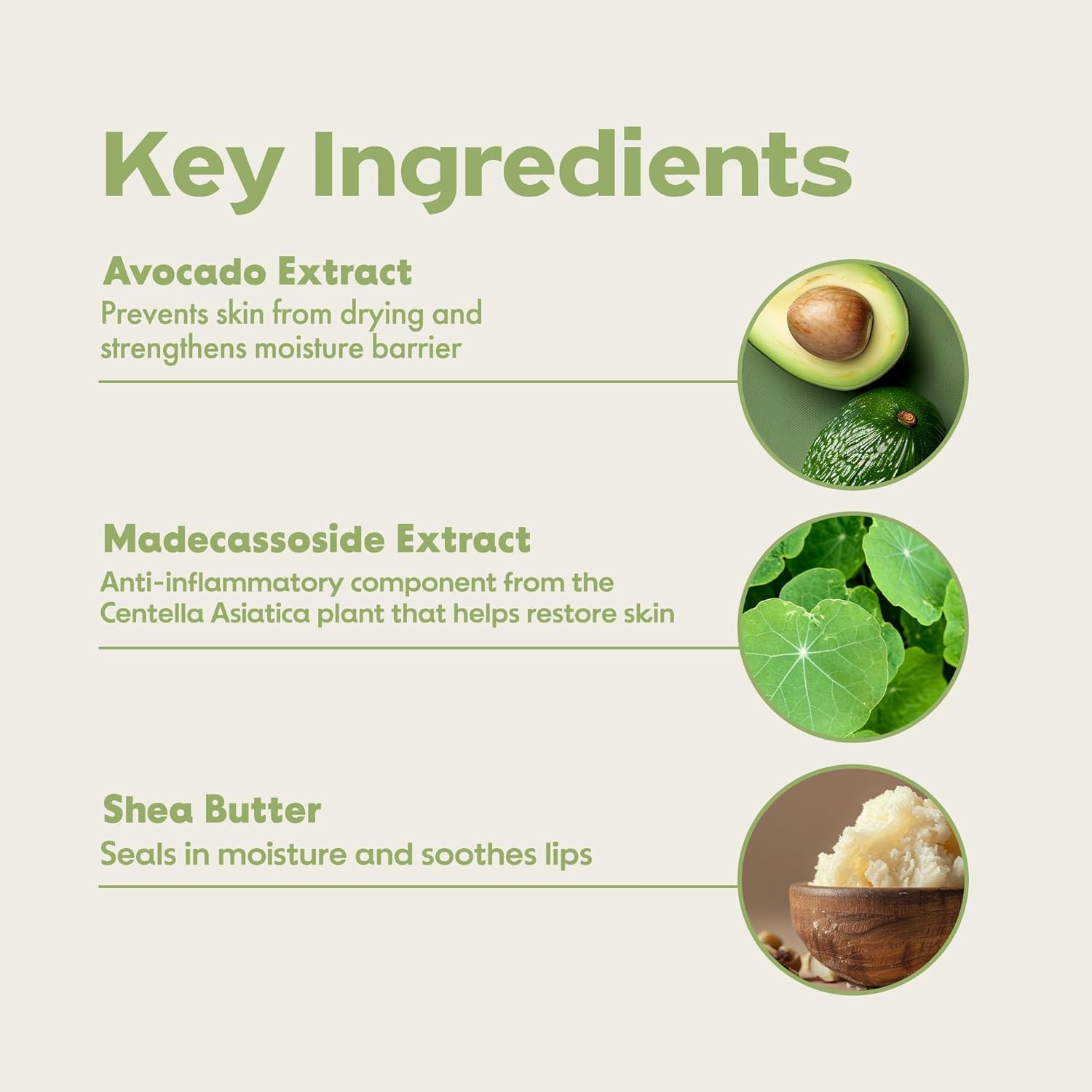 FRUDIA Avocado Cica Relief Vegan Lip Balm 0.33 fl oz Hydrating Organic with Shea Butter - Image 3