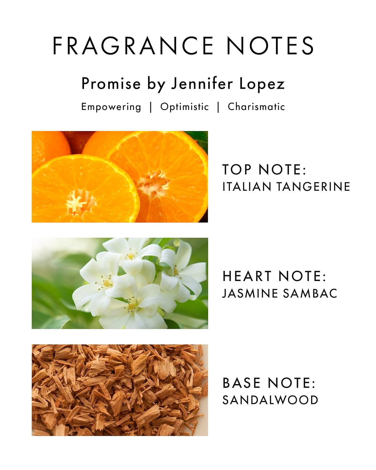 Jennifer Lopez Promise Eau De Parfum Purse Spray 0.34 Fl Oz Floral Woody - Image 2