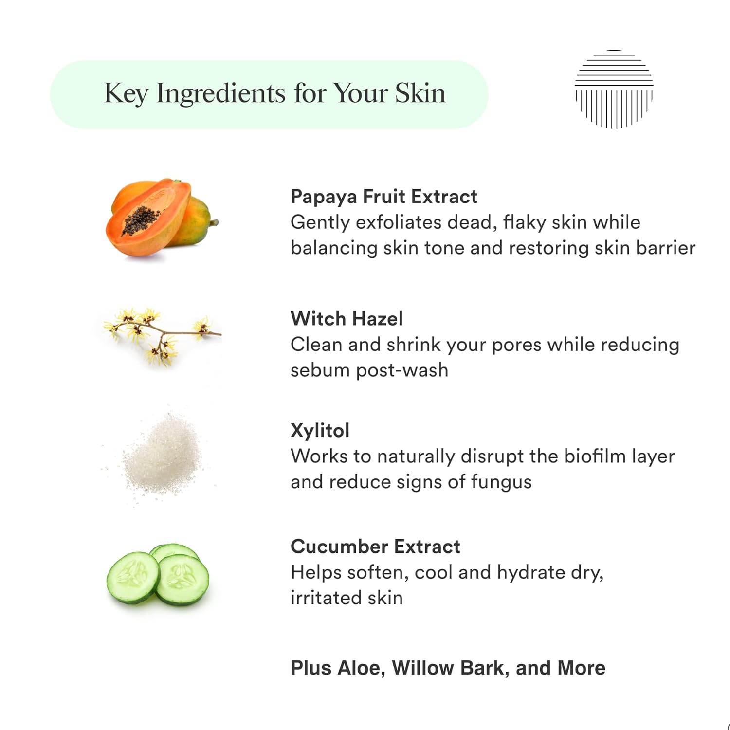 Gentle Purifying Facial Cleanser for Seborrheic Dermatitis Relief - 4 oz Bottle - Image 4