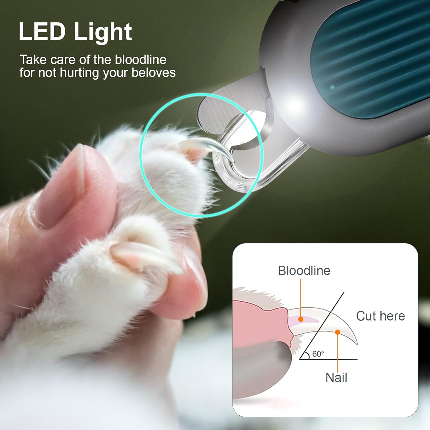 Odoland Blue Pet Nail Clipper with Built-in LED Light and Nail File for Small Cats - Image 2