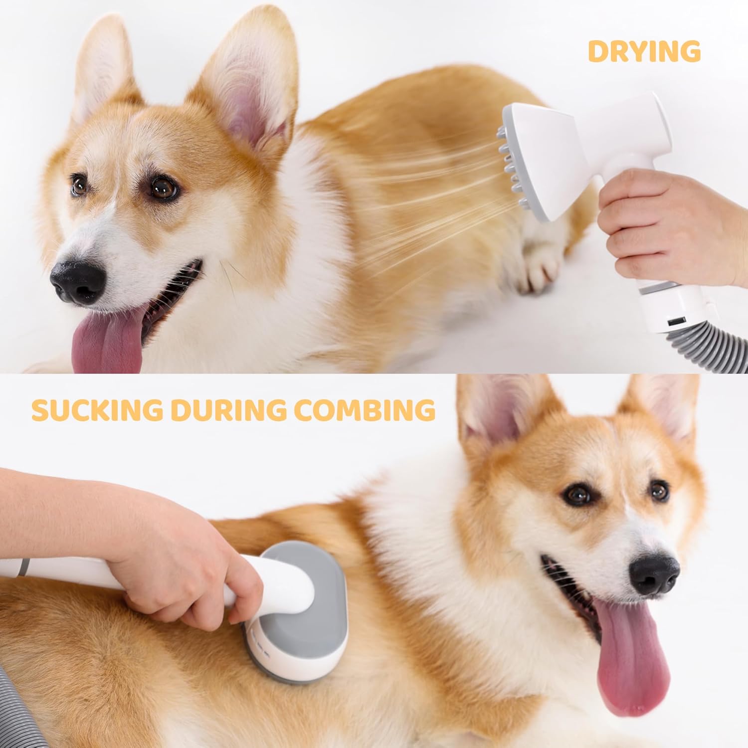 Exacme 7-in-1 Dog Grooming Vacuum Dryer Kit 2.5L Capacity Adjustable Settings - Image 2