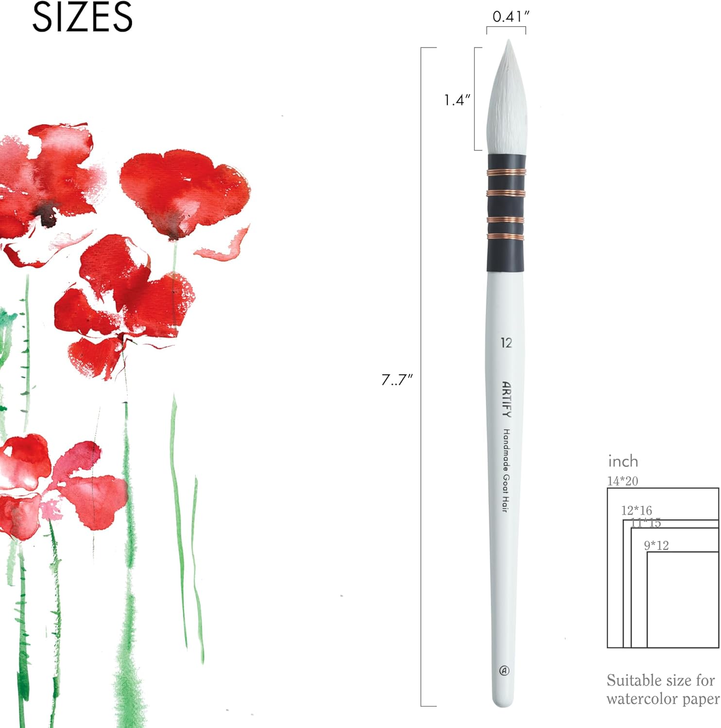 ARTIFY Professional Natural Goat Hair Quill Mop Round Fine Tip Watercolor Paint Brush | Ideal for Watercolor and Gouache Painting (#12) - Image 2