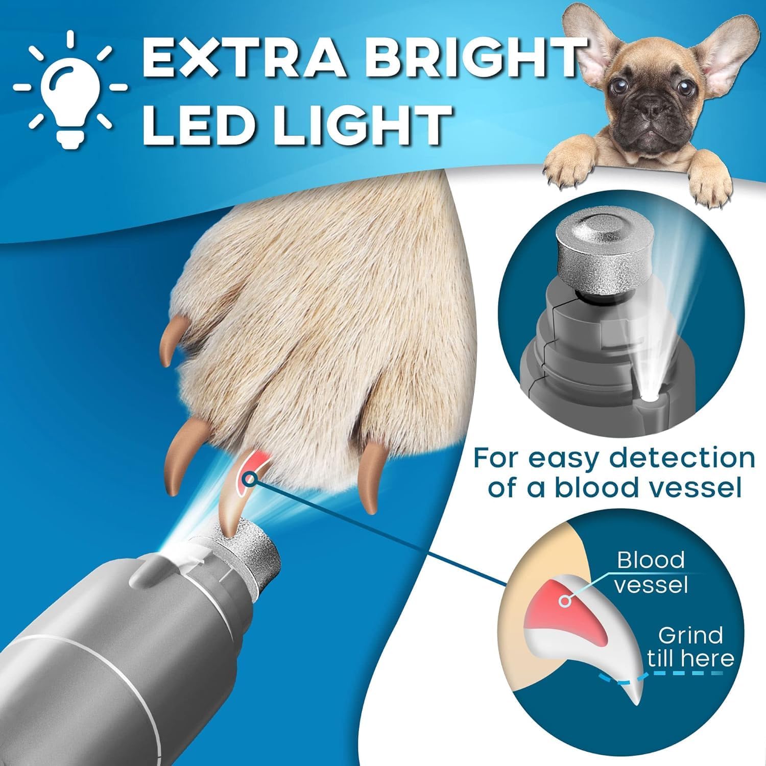 Quiet 2-Speed Dog Nail Grinder with LED Light for Small Medium Dogs Cats - Image 4